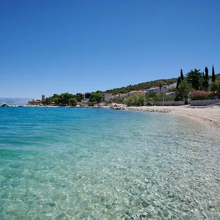Lovor Trogir