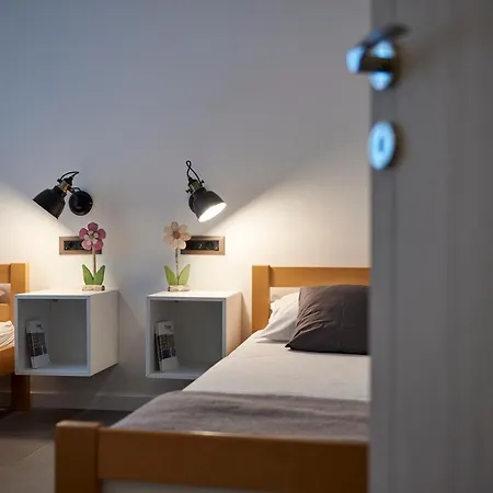 Lovor فيلة تروغير